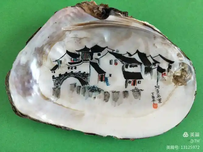 阿黄画室蚌壳画