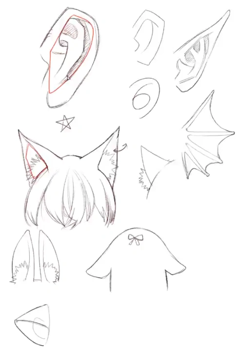 人体五官耳朵猫耳兔耳精灵耳7种耳朵sai教程手绘教程蓝铅笔
