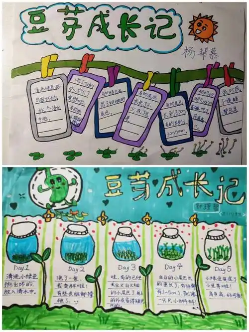 生动地记录绿豆长大的过程,他们还制作了"绿豆成长记"手抄报,并为家人