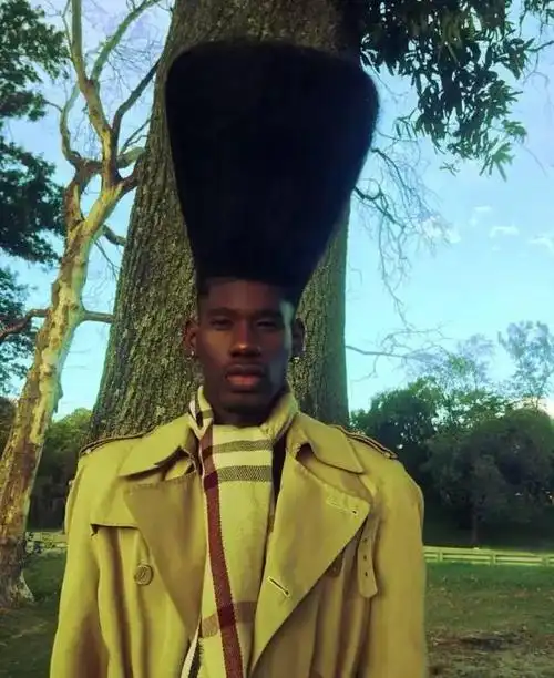 没错,就是这个仿佛化妆刷成了精一样的超级扫把头!