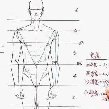 服装画入门级教程:人体比例_男性模特
