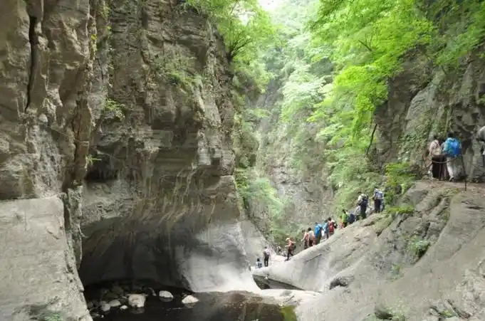 p>红豆杉大峡谷位于中国山西省 a href="#" data-lemmaid="527175">