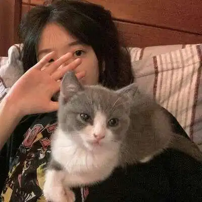 抱猫系列女生头像 高清qq女生抱猫好看的头像图片