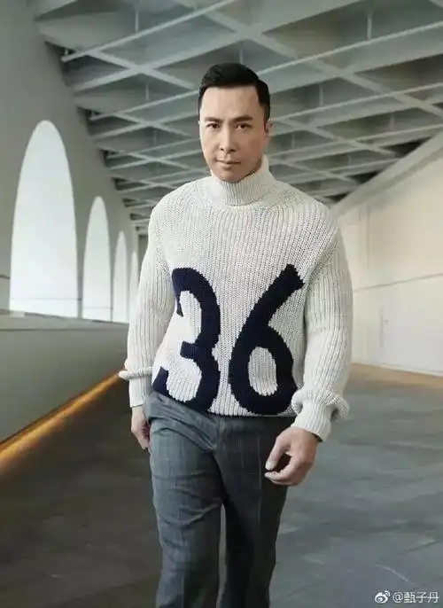 和他同岁的甄子丹,也一直在拍戏.