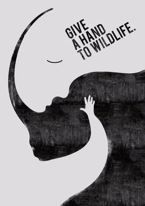 揭晓2020墨西哥第16届国际海报双年展获奖作品赏析