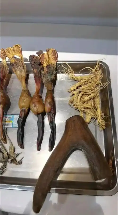 私人定制三鞭粉管胶囊,鹿鞭驴鞭狗鞭海马人参鹿茸,男性补肾选纯货找我