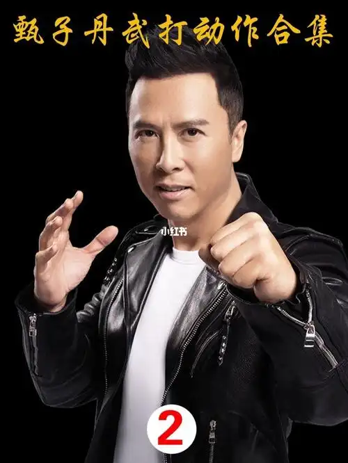 甄子丹武打动作合集2