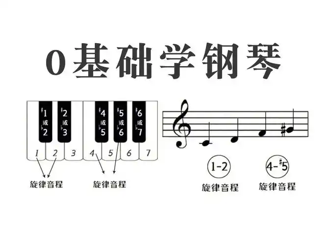 【钢琴基本教程】不知道钢琴怎么学?