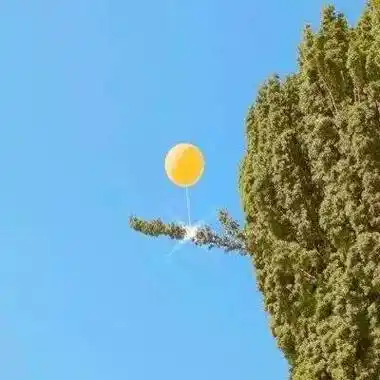 一批很赞的唯美风景图头像超有意境哦