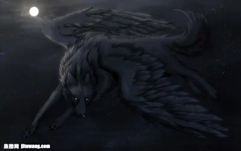 卡通狼插画图片