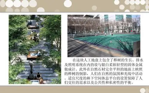 佐佐木叶二及其榉树广场ppt