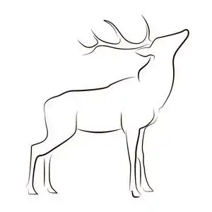 鹿图形图片