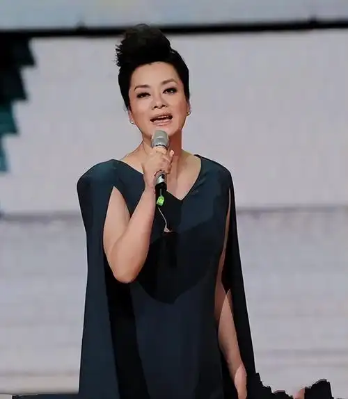 回顾毛阿敏40岁嫁百亿富商丈夫离世后260亿遗产由外人继承