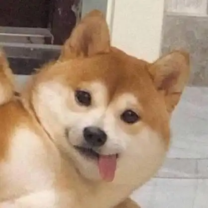 求一张柴犬扭头吐舌头的表情包头像超超超级可爱找到了感谢家人们
