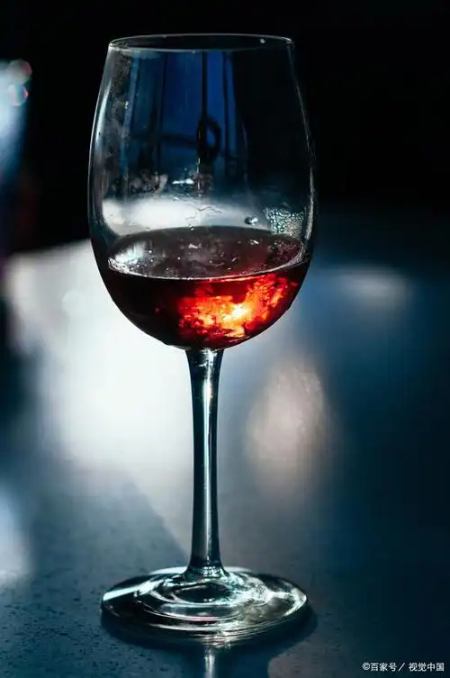 红酒杯:让美食与生活更加精彩