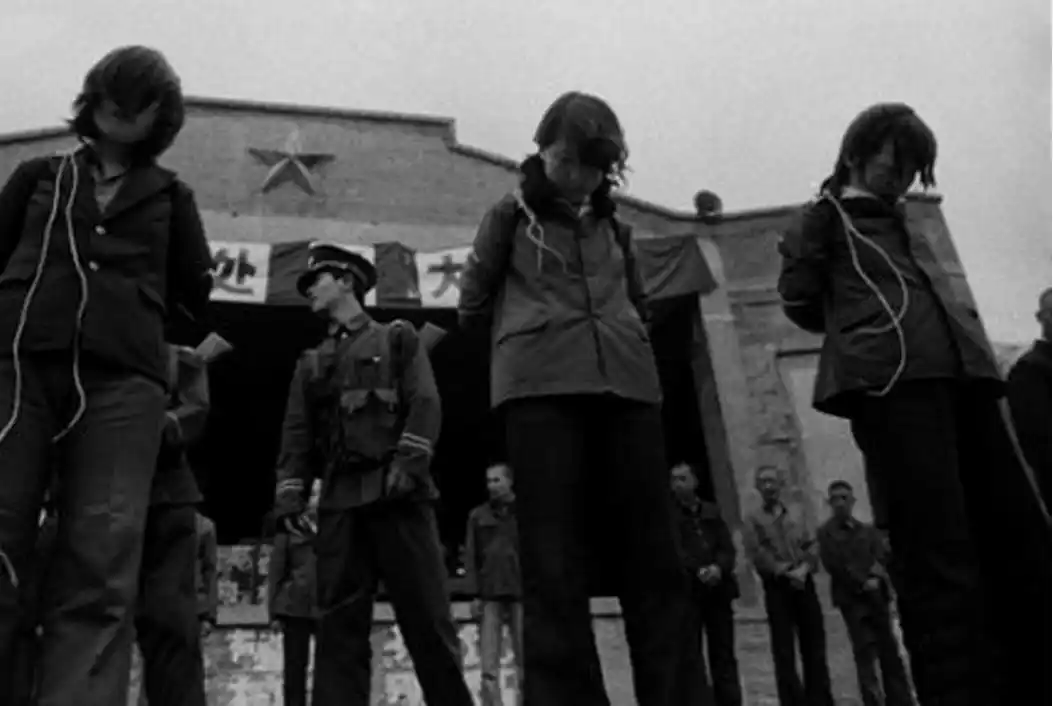 大案纪实——马燕秦案回顾:"家庭舞会"背后的猫腻,与多人发生关系的她