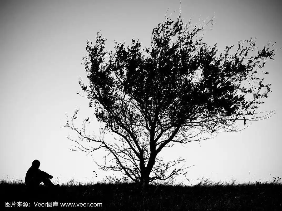 一棵孤独的树和一个人坐在草地上.