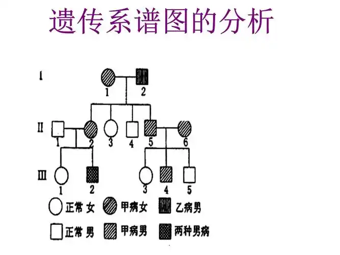 遗传系谱图的分析最新版本.ppt