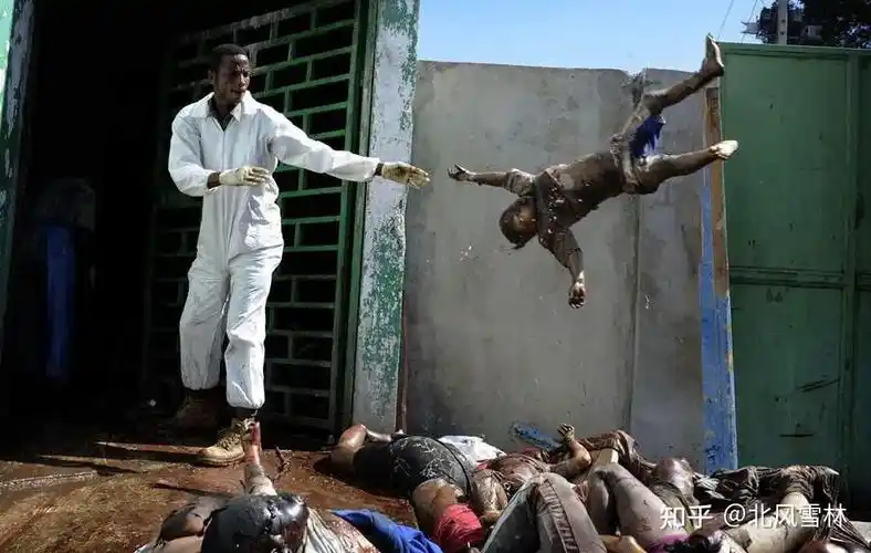 海地总统在私人寓所中遇刺身亡有哪些信息值得关注会对海地产生哪些