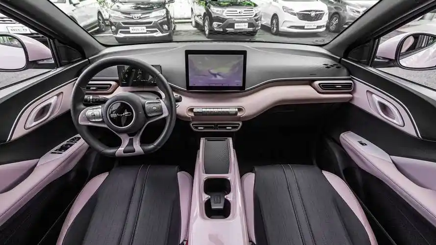 比亚迪海鸥:"鸥"气满满的小型纯电车,几个月车龄 几千公里!