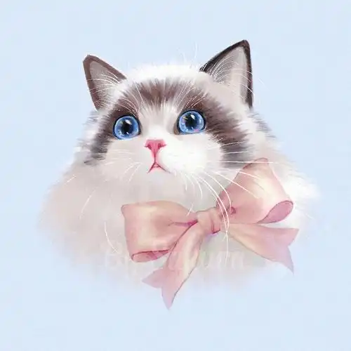 布偶猫手绘头像有过程图