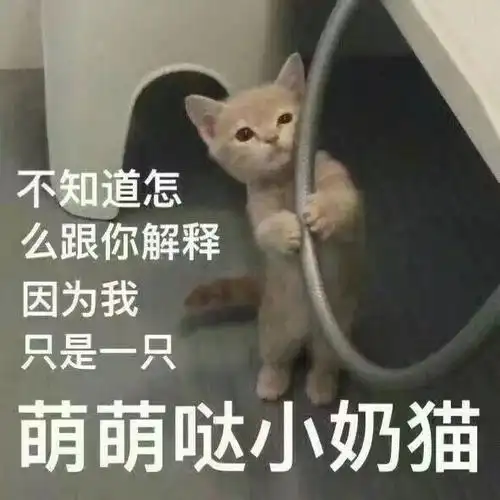 不知道怎么跟你解释,因为我只是一只萌萌哒小奶猫