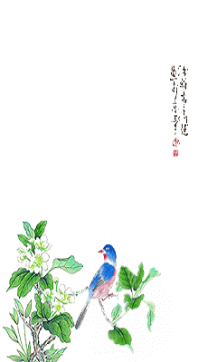 绝对震撼——s5560支持动态壁纸