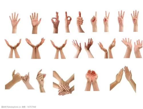 手势集锦图片