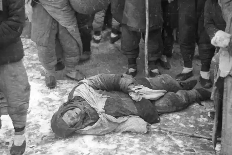 历史影像实录惨绝人寰的河南大饥荒