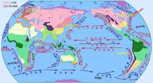 图 5洋流运动食物链顶端,谁也逃不掉碳,氢,氧是构成生物的基本元素,核