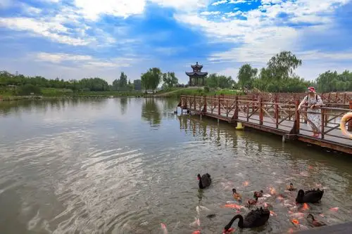 其它 双龙湖湿地公园 写美篇         双龙湖生态风景区,位于台儿庄兴