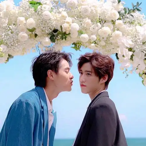 腐剧他泰六大心头好