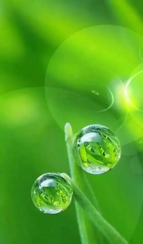 点一下,再点  【应用到所有的聊天背景】就搞定啦~  再送护眼壁纸