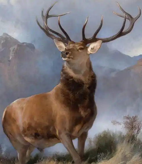 幽谷之王themonarchoftheglenedwinhenrylandseer油画作品欣赏