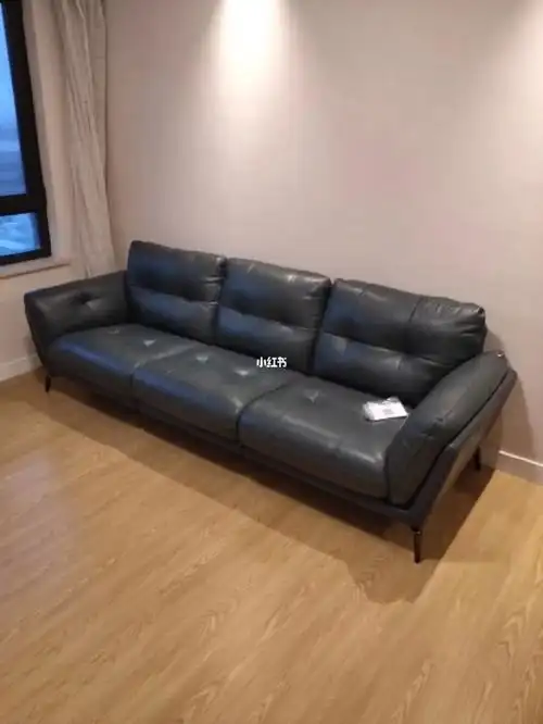 德国domicil沙发买家秀来啦