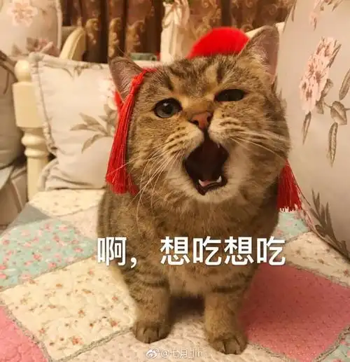 猫表情包啊想吃想吃