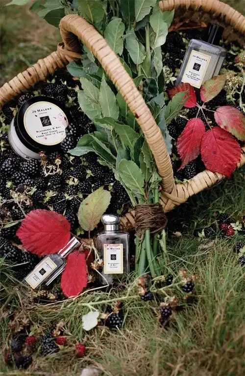 jo malone 祖马龙 黑莓与月桂香水 分装试香