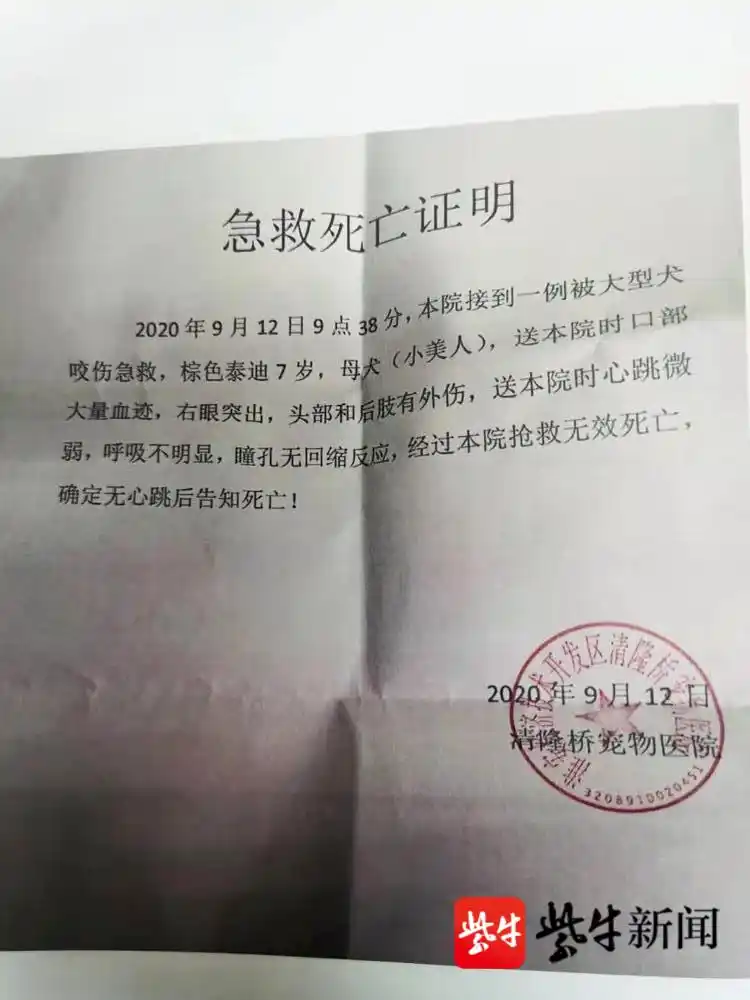 小泰迪在宠物店被阿拉斯加犬咬伤后宠物医院出具的急救死亡证明