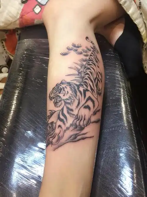 下山虎_纹身图案手稿图片_梁子的纹身作品集