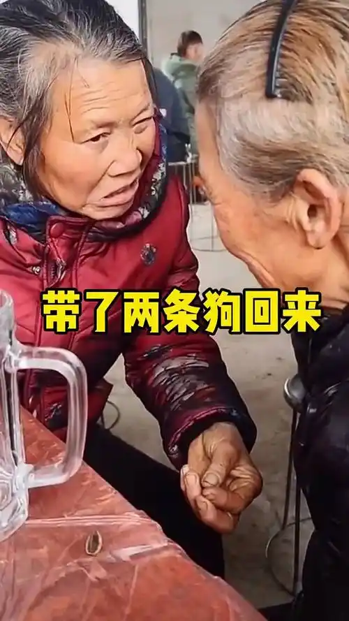 大清早的被邻居大妈的悄悄话给吵醒,叽叽喳喳的 #萌宠大联盟