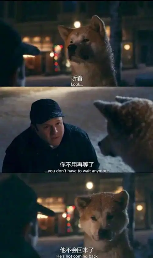 豆瓣高分电影top250你看过几部