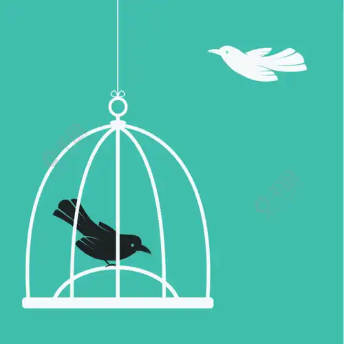 笼中和笼外鸟的矢量图像自由概念