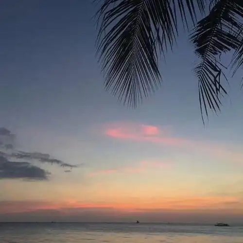 有哪些好看的qq名片背景图