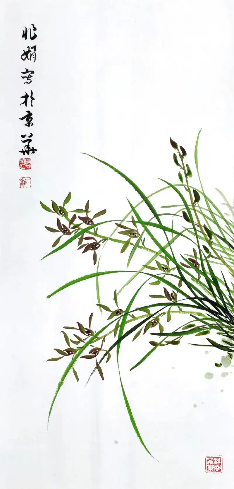 陈兆娟国画兰花作品