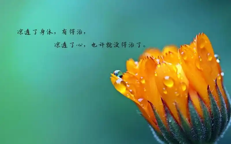 下一组 相关专题 文字图片伤感图片 相关标签 心凉文字简单悲伤伤感