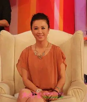 女演员傅艺伟盘发发型图片 傅艺伟个人资料