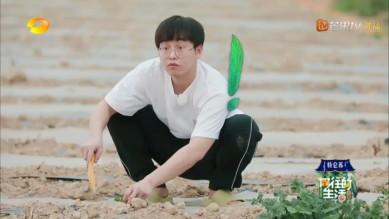 向往的生活:郭麒麟来之后张子枫对彭昱畅的称呼变化你发现了吗?