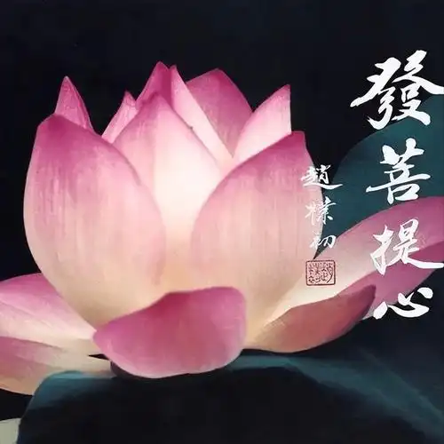 菩提心要具备哪三心?_众生_佛教_利益