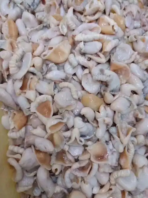 新鲜活冷冻牛蛙田鸡脆肚 烧烤爆炒火锅食材餐厅食品30斤全国包邮