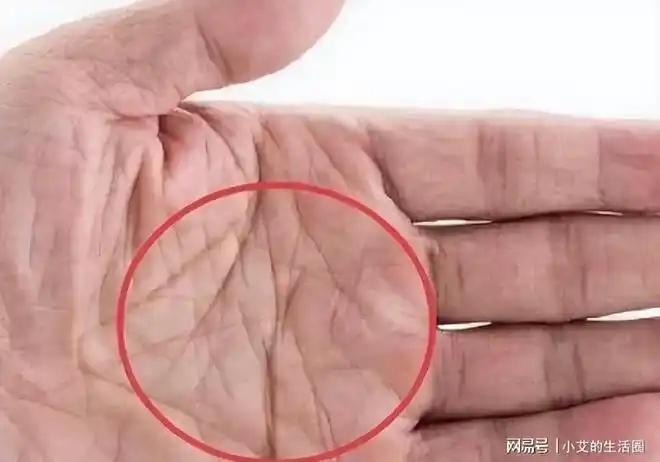 老祖宗俗语三角纹在手富到九十九三角纹在哪里准不准